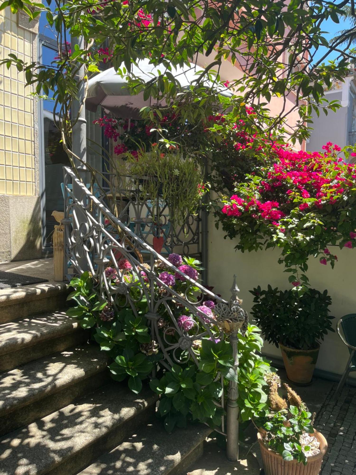 Bed & Breakfast Camelia Porto