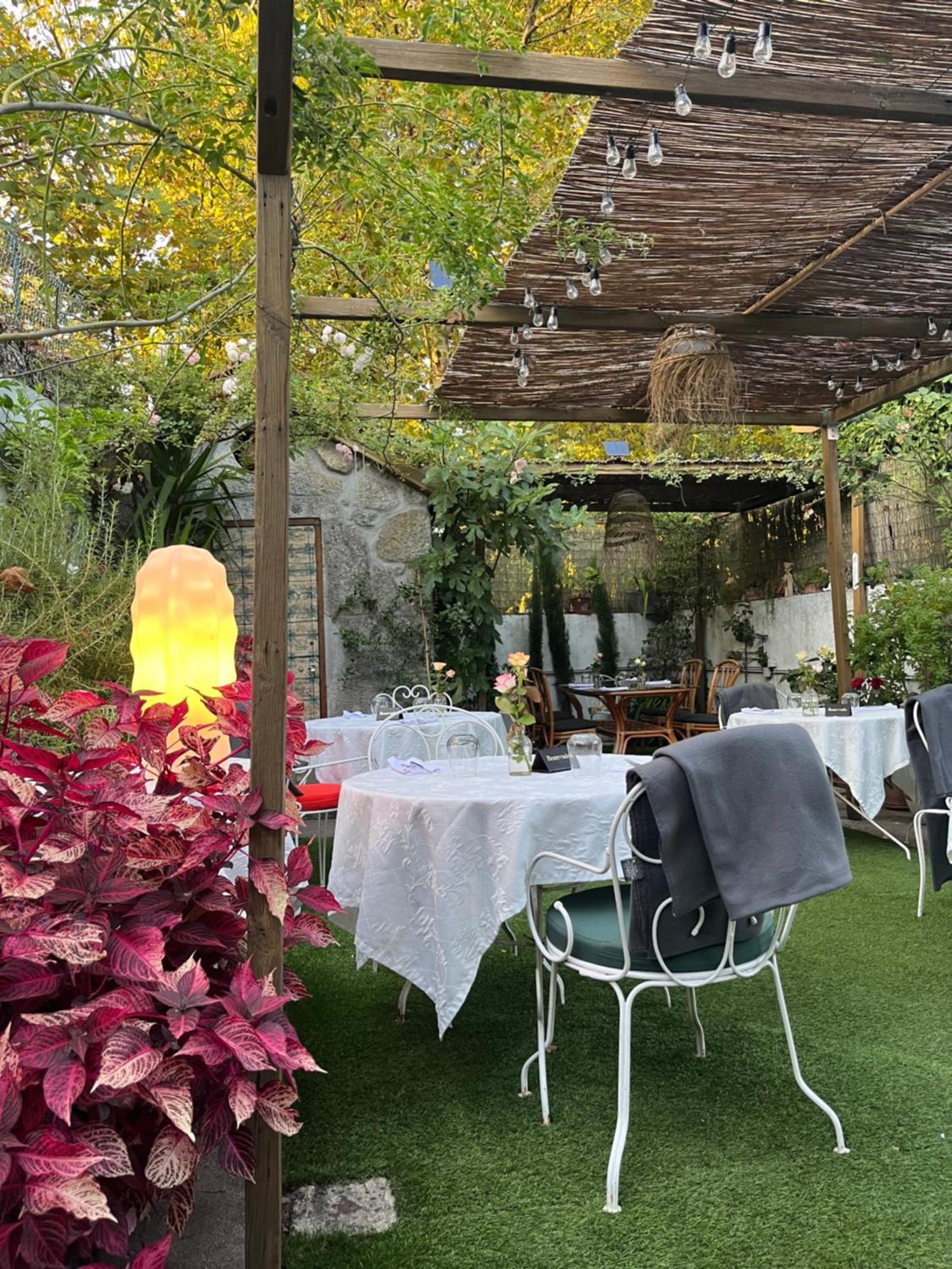 Bed & Breakfast Camelia Porto